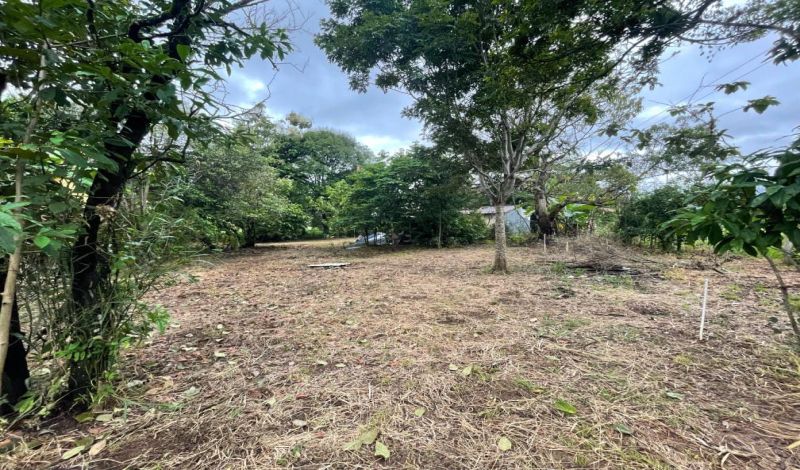 VENDO FINCA EN TAURAMENA